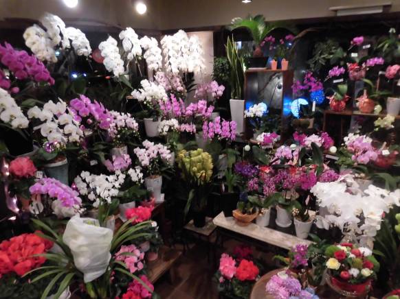 「花のすみ家」　（愛知県安城市）の花屋店舗写真2